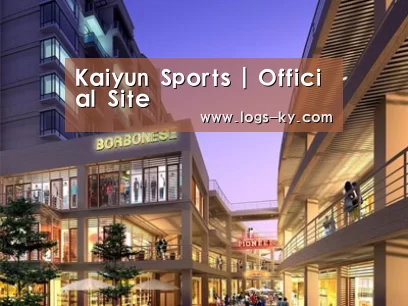 案例展示一